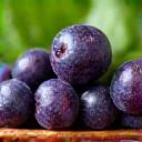 Acai Berry